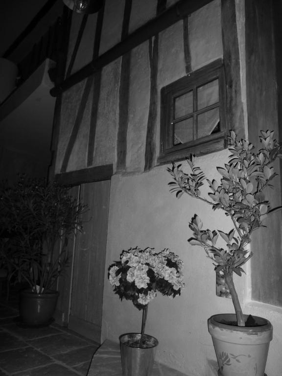 Les 5 Sens住宿加早餐旅馆 外观 照片